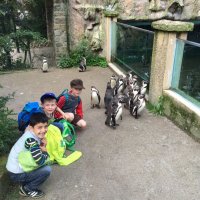 Zoo1