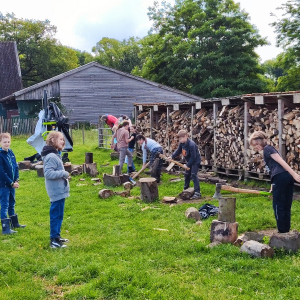 Emshof Holz hacken